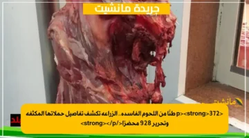 <p><strong>372 طنًا من اللحوم الفاسدة.. الزراعة تكشف تفاصيل حملاتها المكثفة وتحرير 928 محضرًا</strong></p>